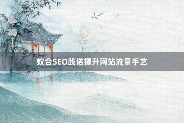 蚁合SEO践诺擢升网站流量手艺